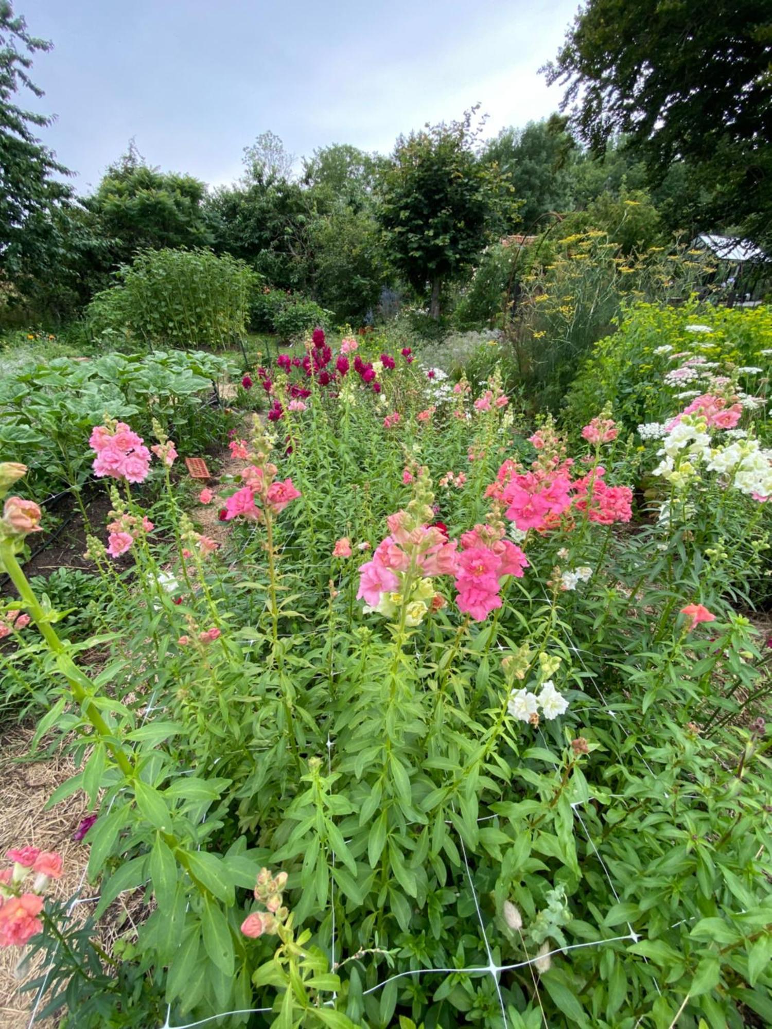 Blomstertantens Hus Трелебори Екстериор снимка