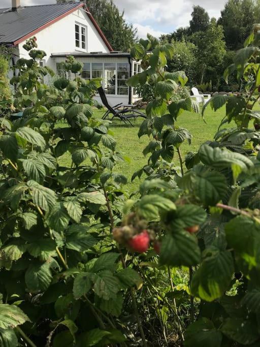 Blomstertantens Hus Трелебори Екстериор снимка