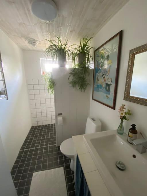 Blomstertantens Hus Трелебори Екстериор снимка